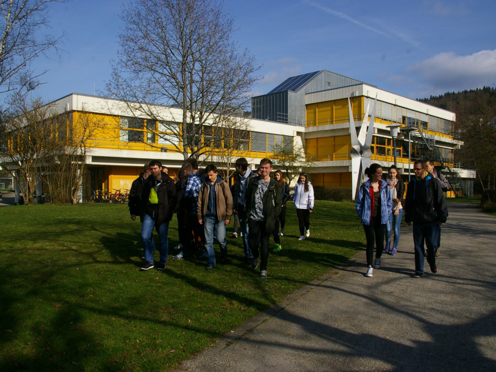 Uczniowie z I LO w Radzyniu Podlaskim ponownie na wymianie młodzieży w Niemczech