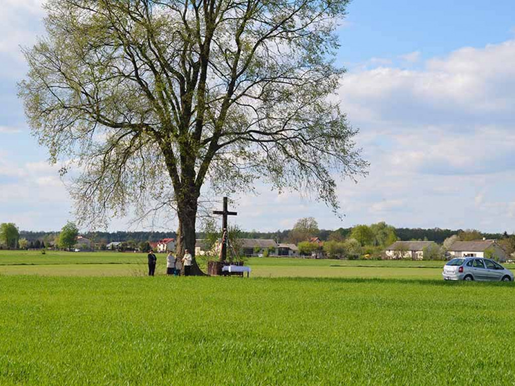 Uroczystość poswięcenia pól w Białej