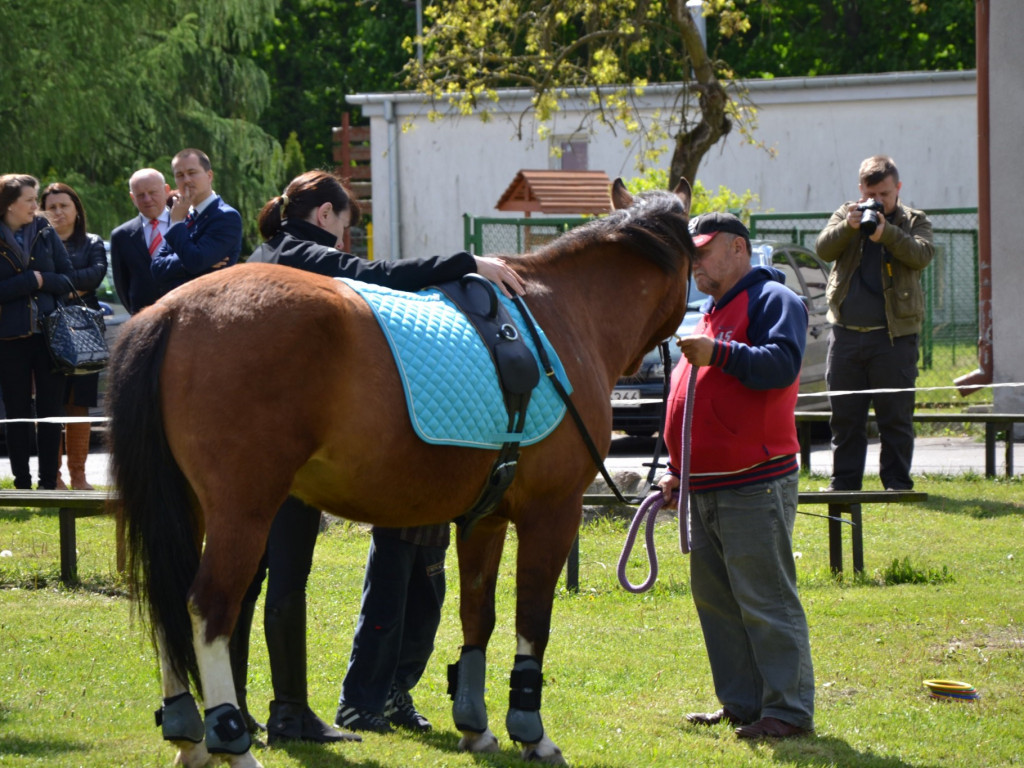 Dzień otwarty w SOSW w Radzyniu Podlaskim