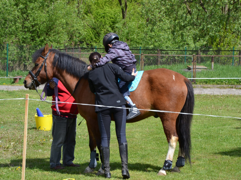 Dzień otwarty w SOSW w Radzyniu Podlaskim