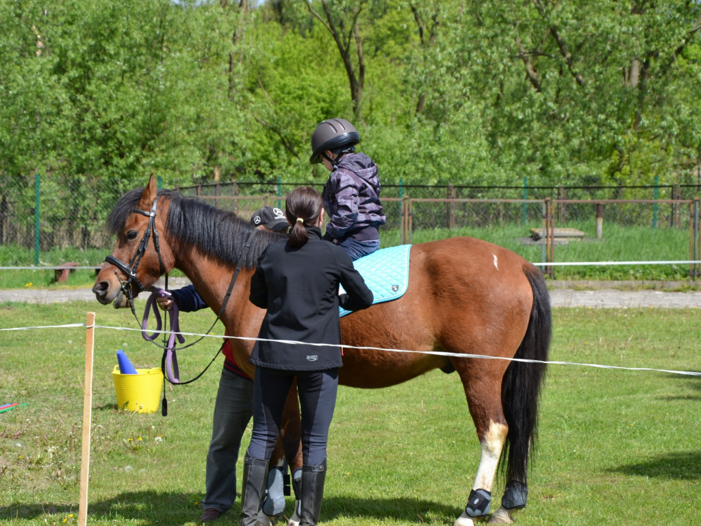 Dzień otwarty w SOSW w Radzyniu Podlaskim