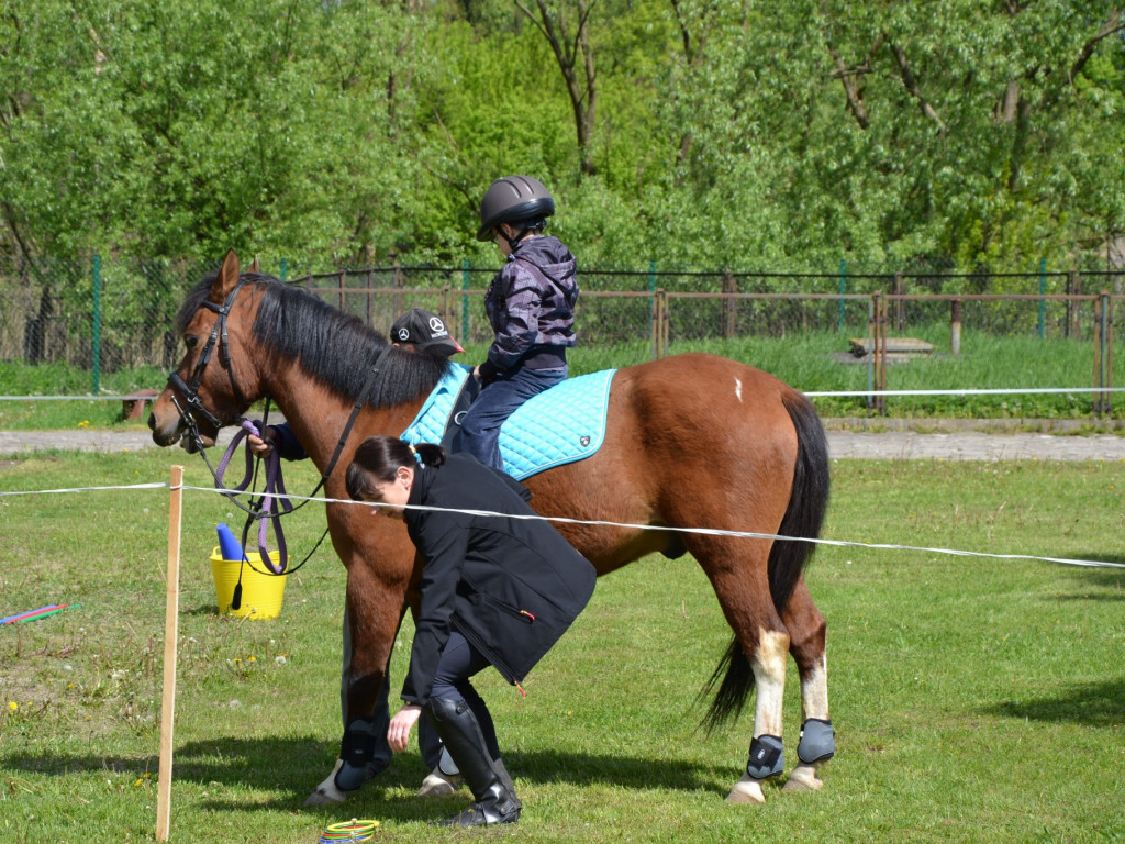 Dzień otwarty w SOSW w Radzyniu Podlaskim