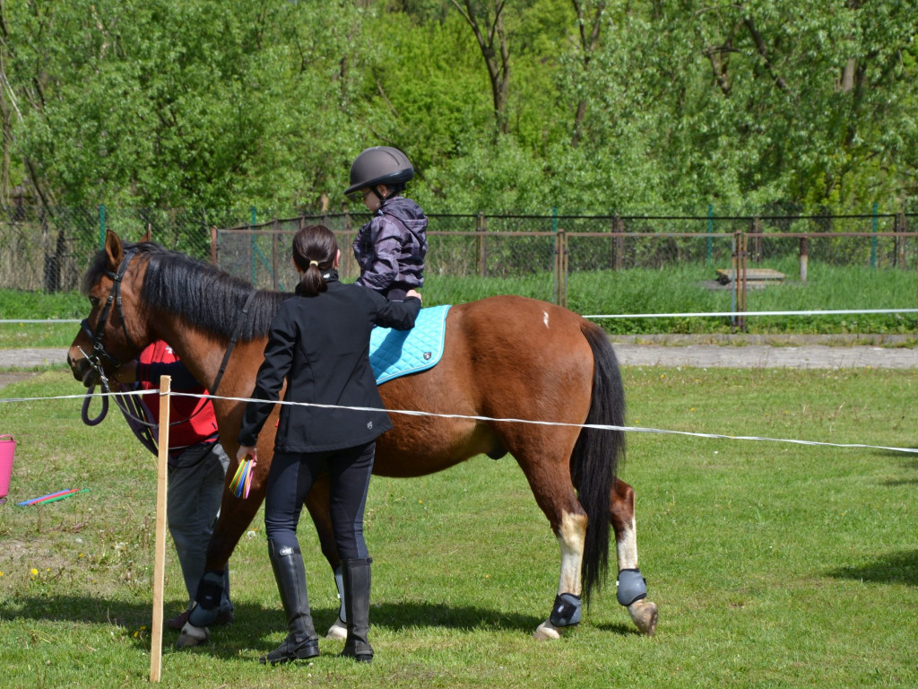 Dzień otwarty w SOSW w Radzyniu Podlaskim