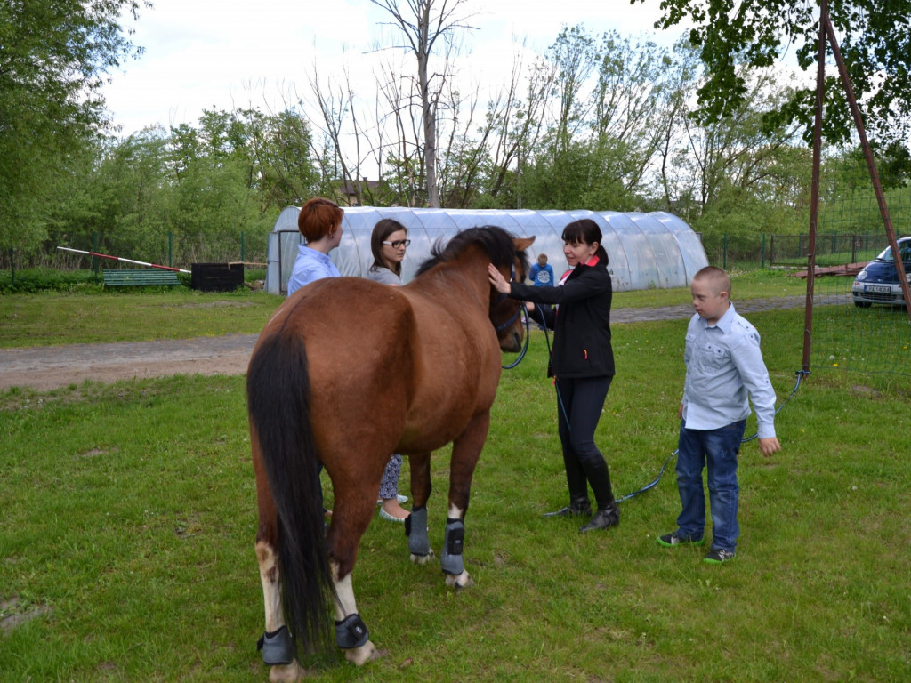 Dzień otwarty w SOSW w Radzyniu Podlaskim