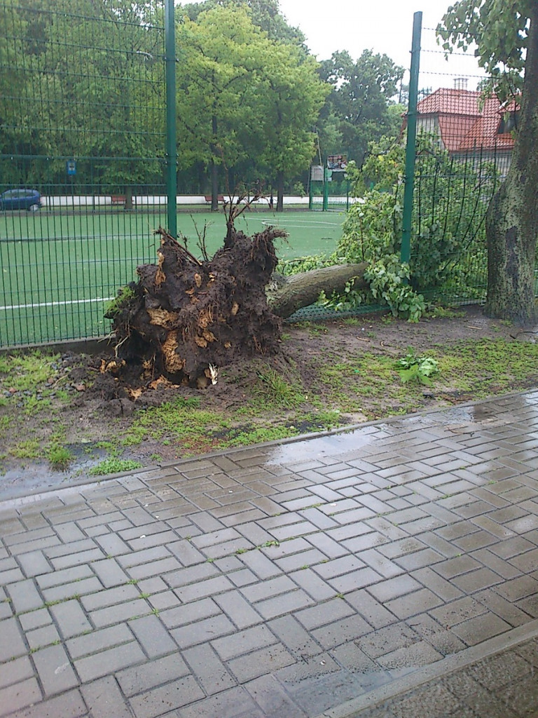 Efekty nocnej wichury w Radzyniu