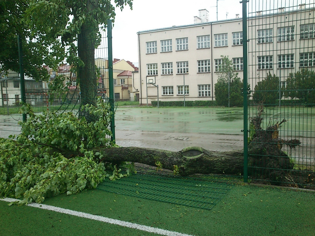 Efekty nocnej wichury w Radzyniu