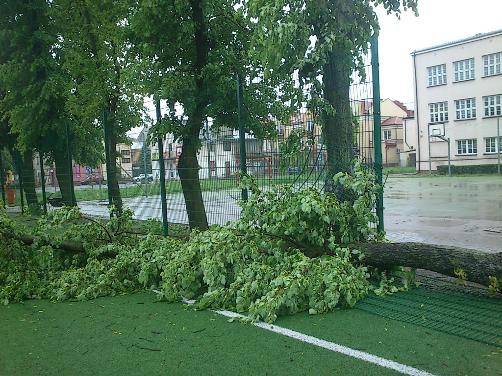 Efekty nocnej wichury w Radzyniu