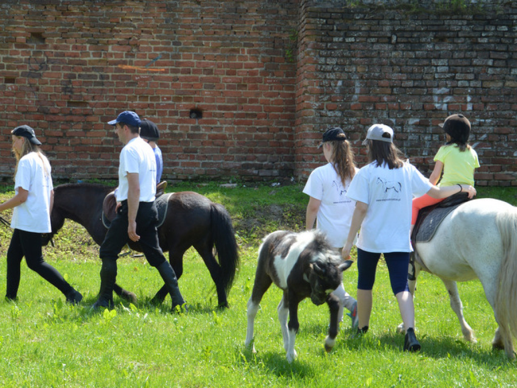 XII Olimpiada Przedszkolaków - FOTORELACJA