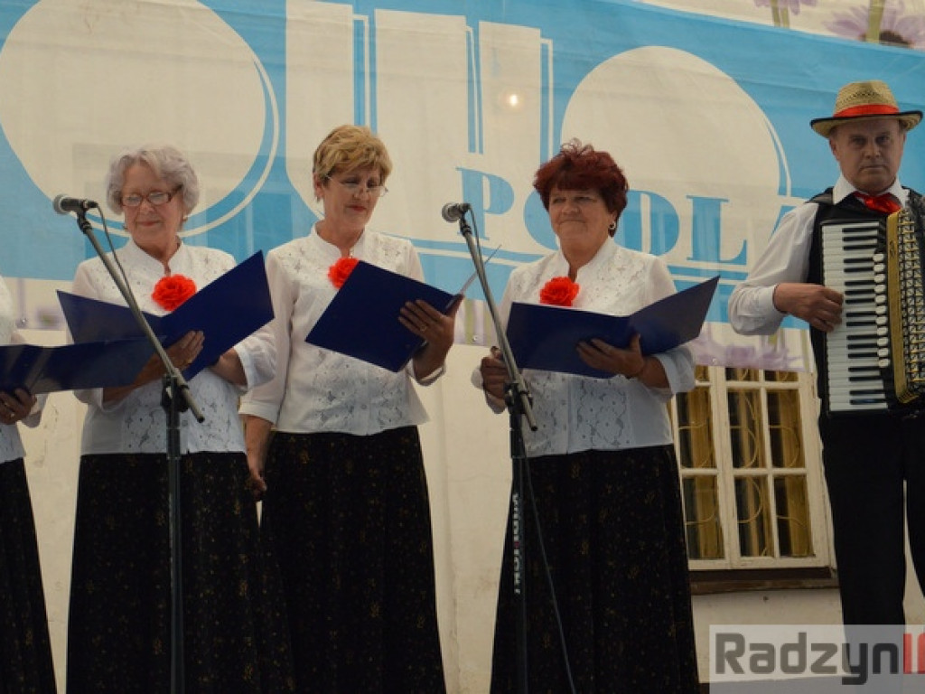 Radzyński Talent 2015 - FOTORELACJA