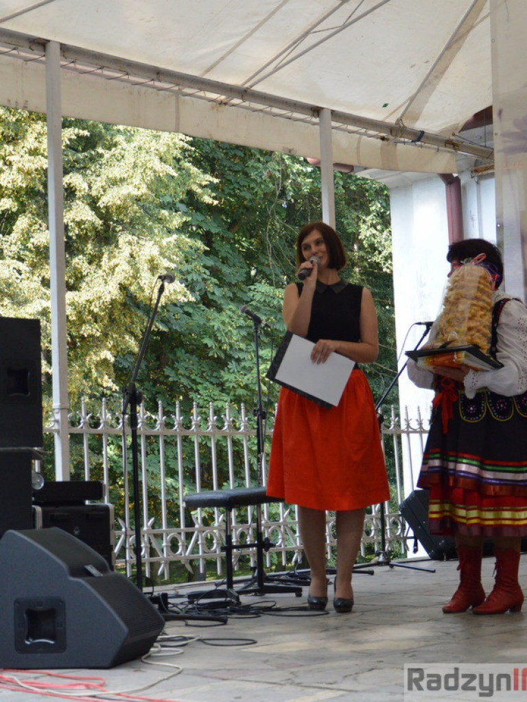 Radzyński Talent 2015 - FOTORELACJA