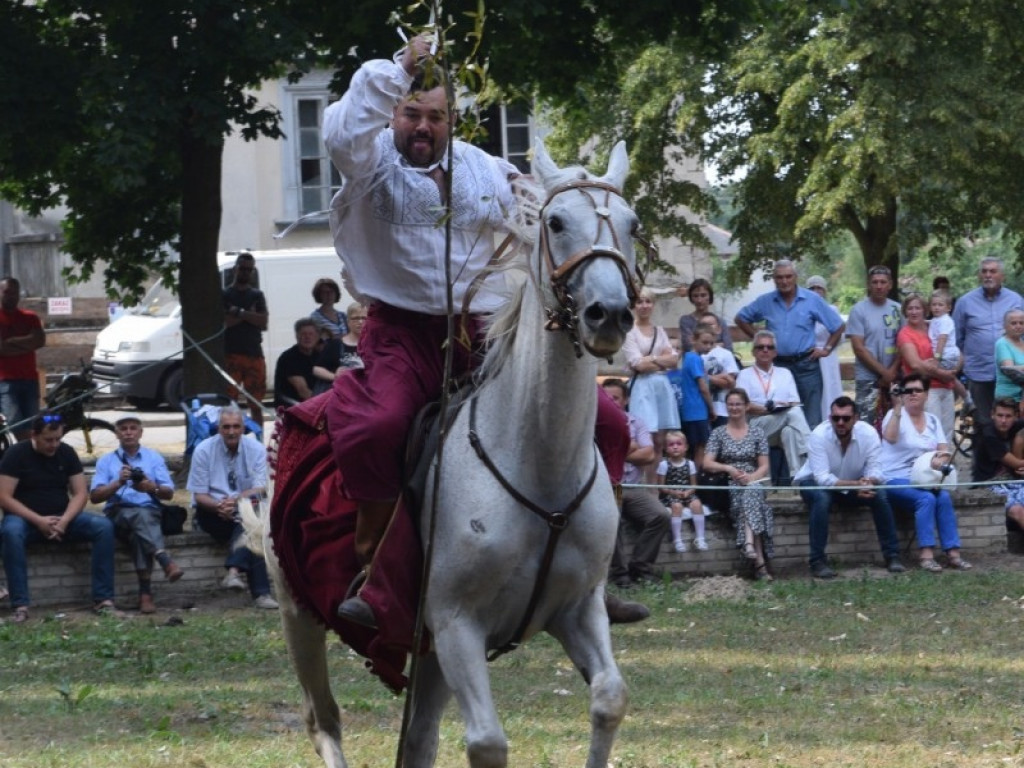 Wspomnienie dawnych czasów czyli Festiwal Łucznictwa Tradycyjnego w Czemiernikach