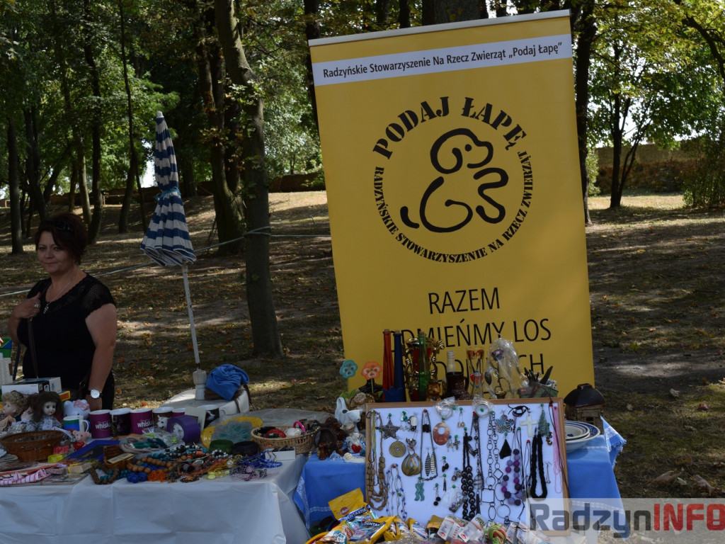 Wspomnienie dawnych czasów czyli Festiwal Łucznictwa Tradycyjnego w Czemiernikach