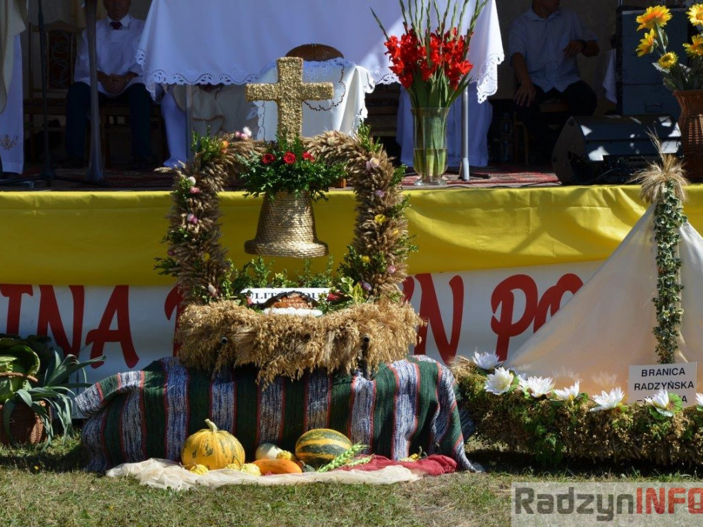 Fotorelacja z dożynek Gminy Radzyń