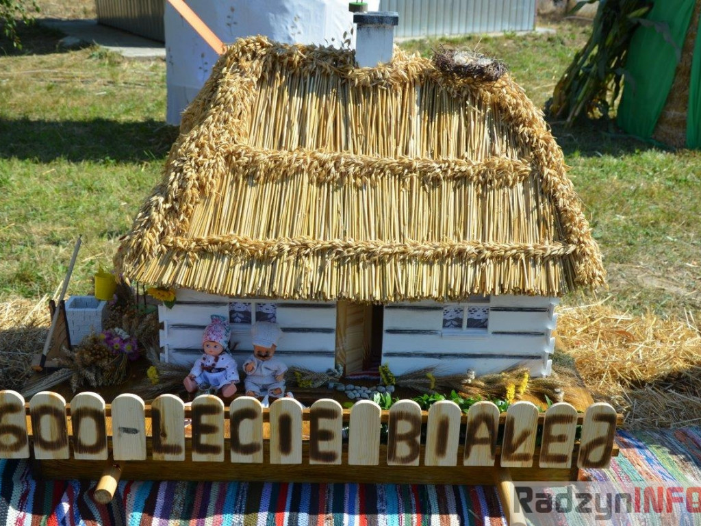 Fotorelacja z dożynek Gminy Radzyń