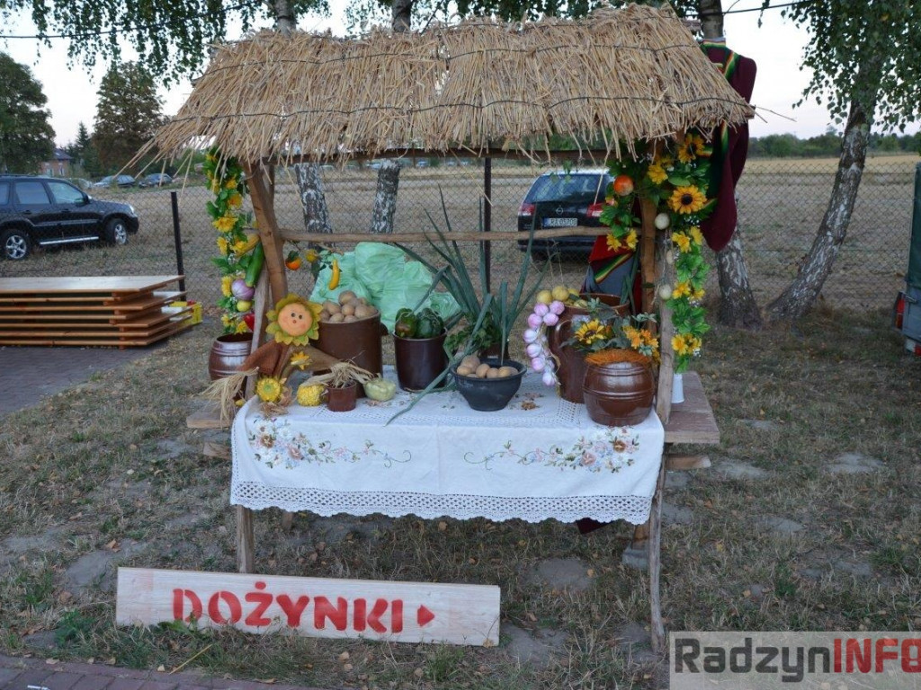 Fotorelacja z dożynek Gminy Radzyń