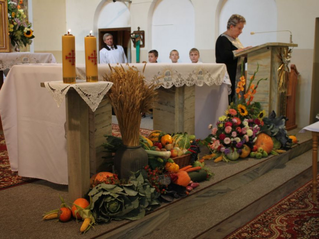 Fotorelacja z dożynek w Borkach
