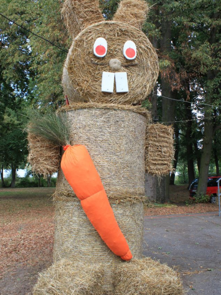 Fotorelacja z dożynek w Borkach