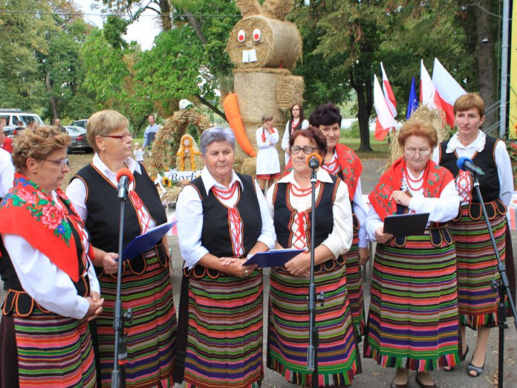 Fotorelacja z dożynek w Borkach