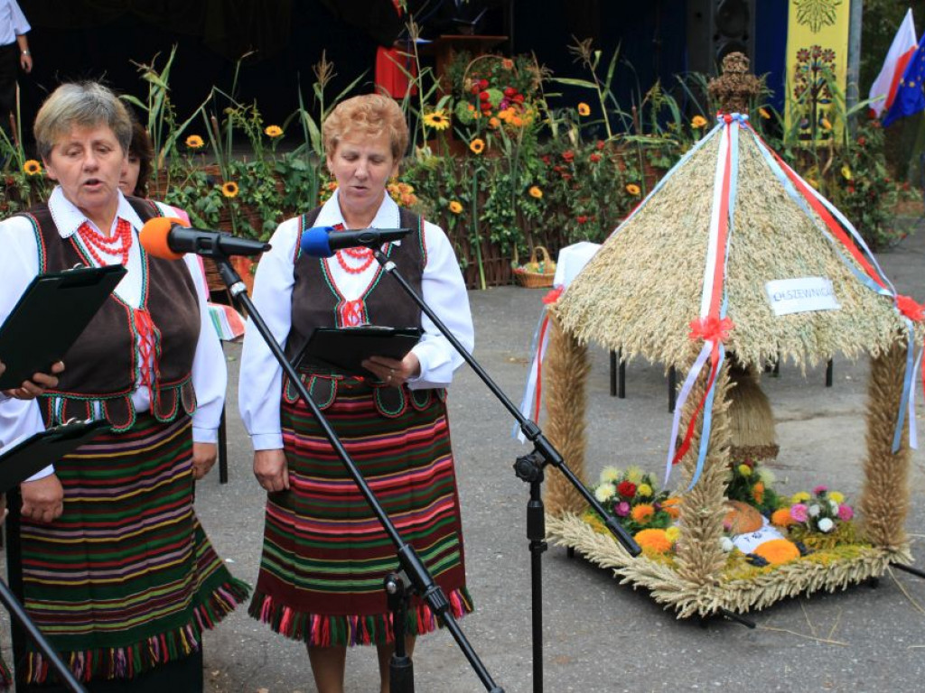 Fotorelacja z dożynek w Borkach