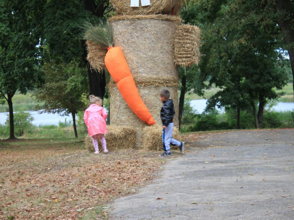 Fotorelacja z dożynek w Borkach