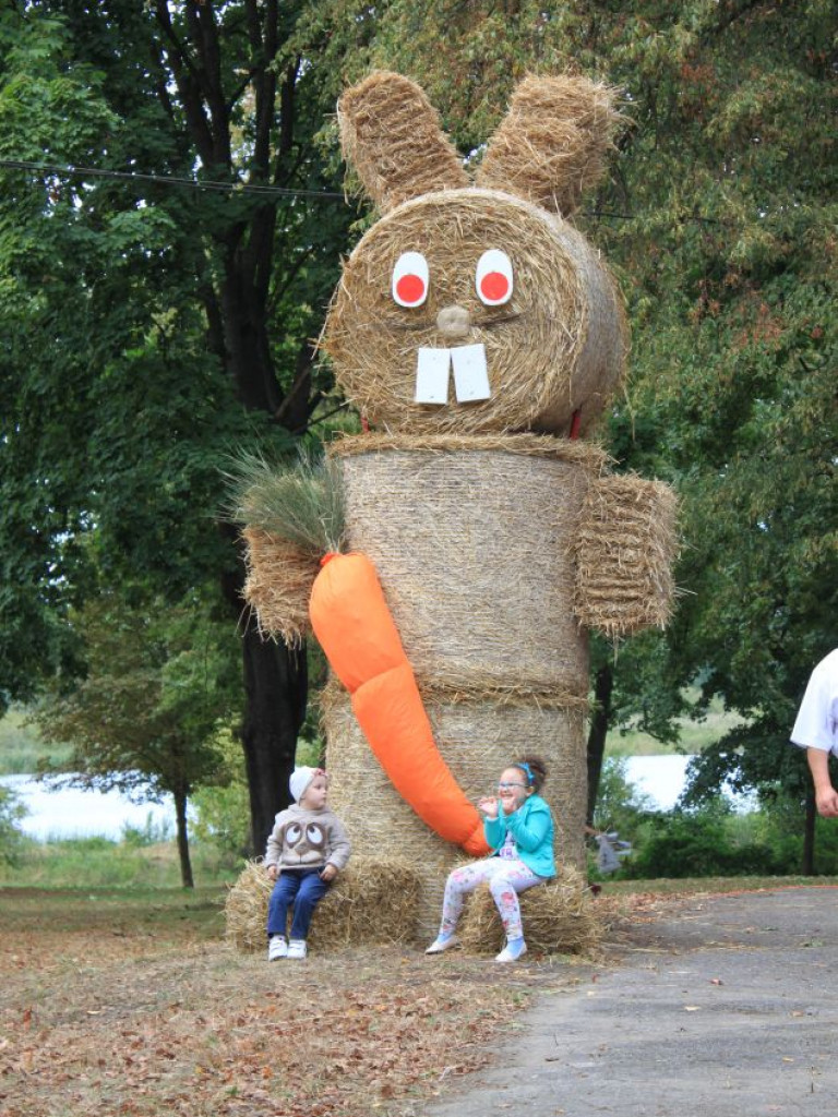 Fotorelacja z dożynek w Borkach