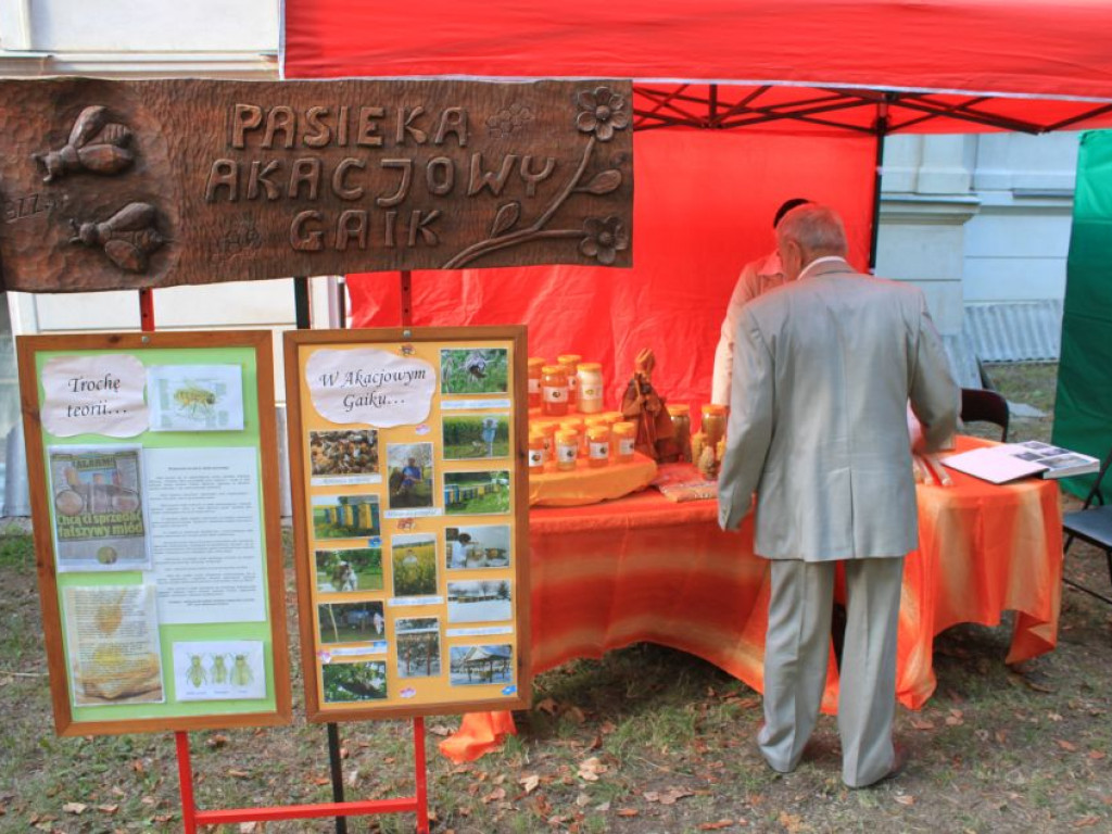 Fotorelacja z dożynek w Borkach