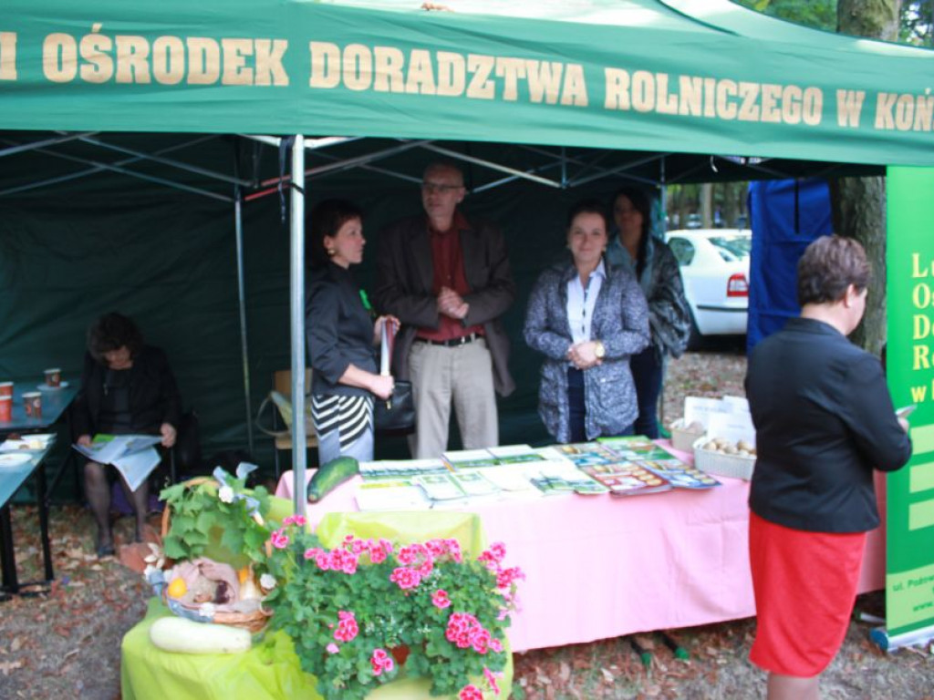 Fotorelacja z dożynek w Borkach