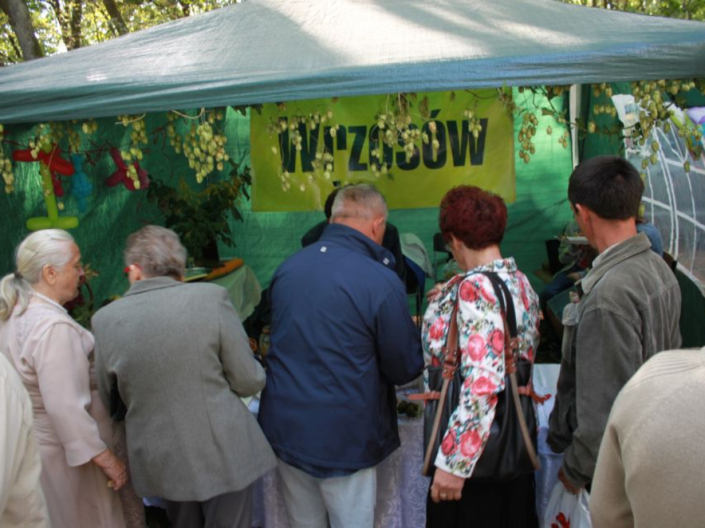Fotorelacja z dożynek w Borkach