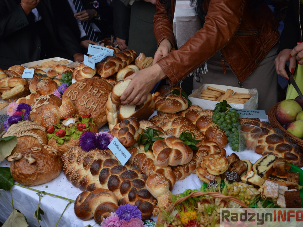 Dożynki gminy Kąkolewnica - fotorelacja