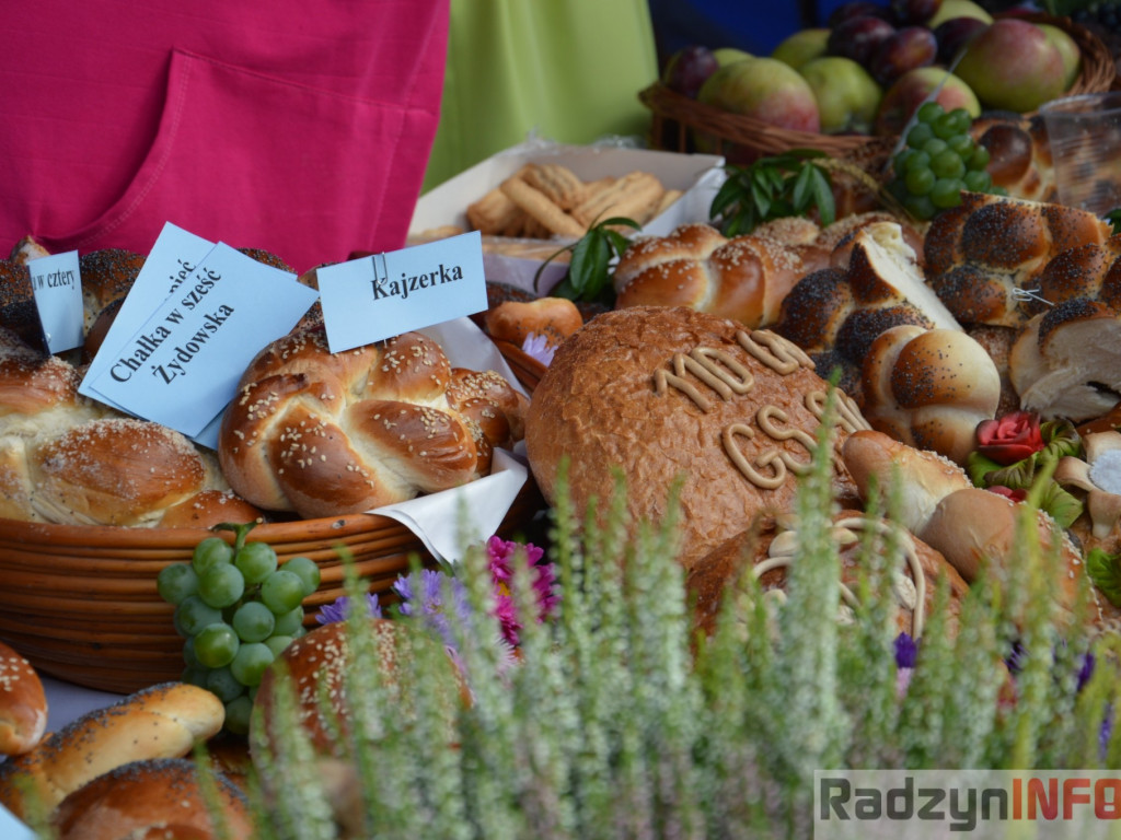 Dożynki gminy Kąkolewnica - fotorelacja