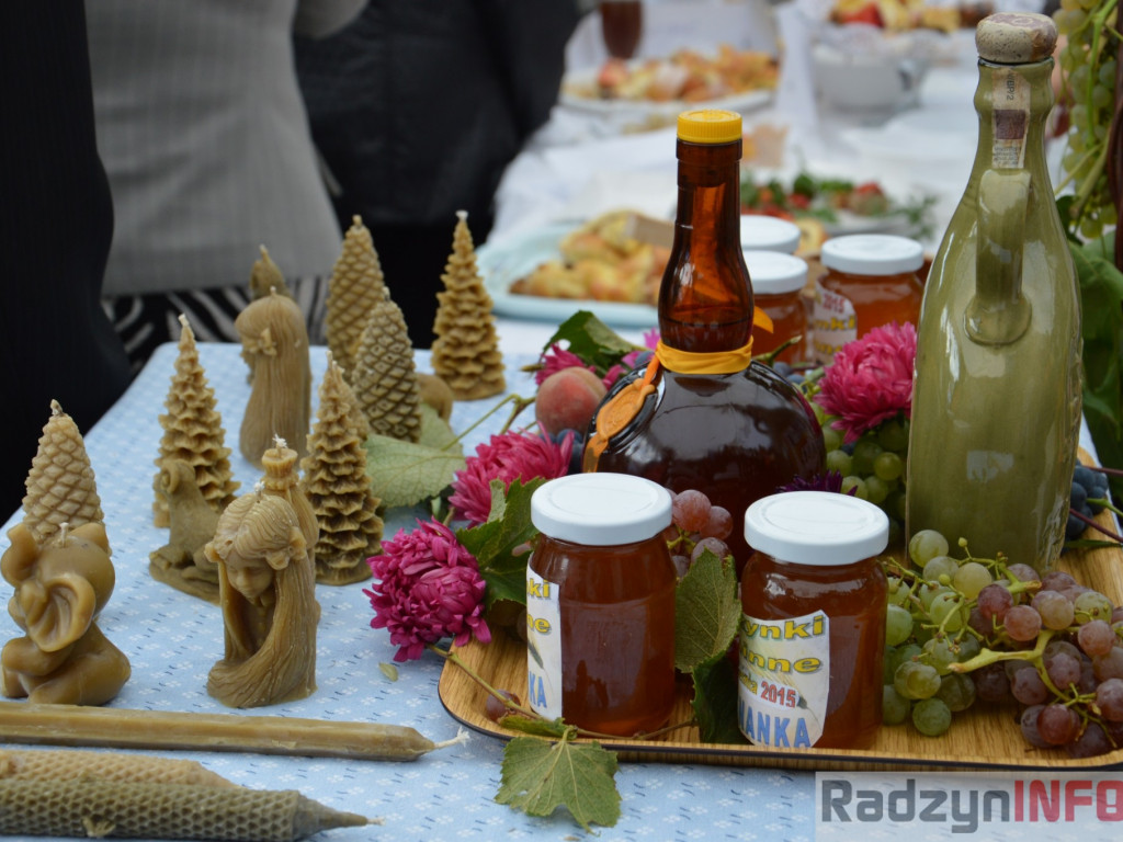 Dożynki gminy Kąkolewnica - fotorelacja