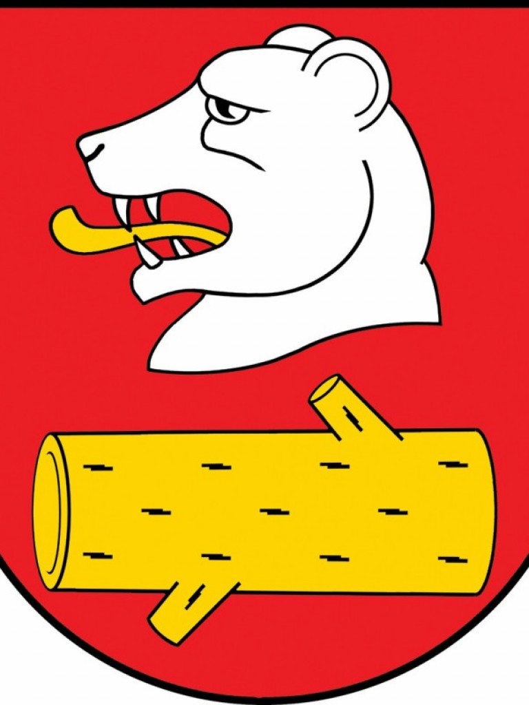 Gmina Radzyń Podlaski ustanowiła herb