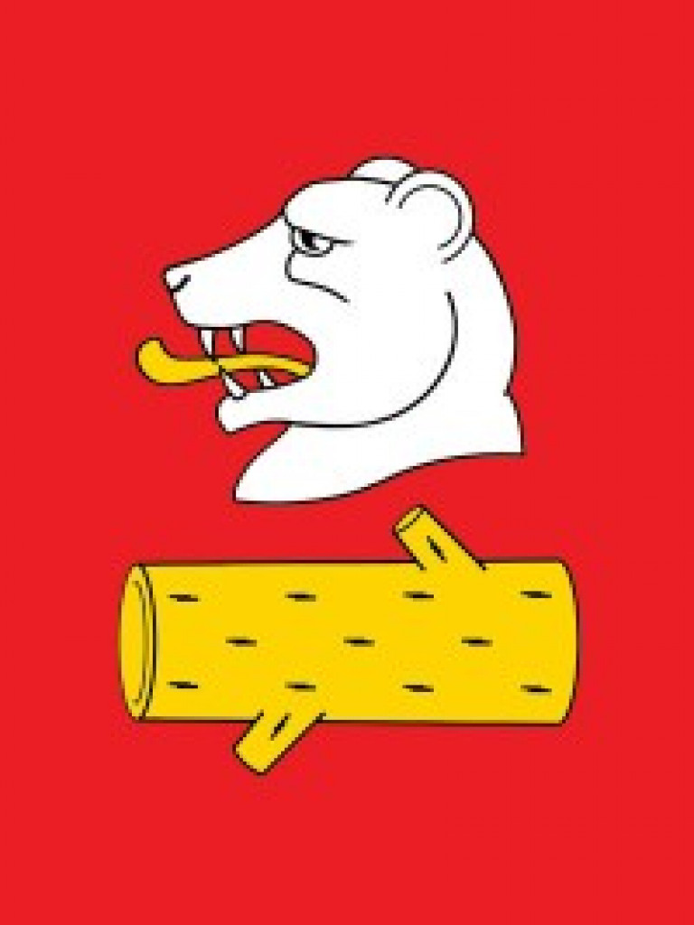 Gmina Radzyń Podlaski ustanowiła herb