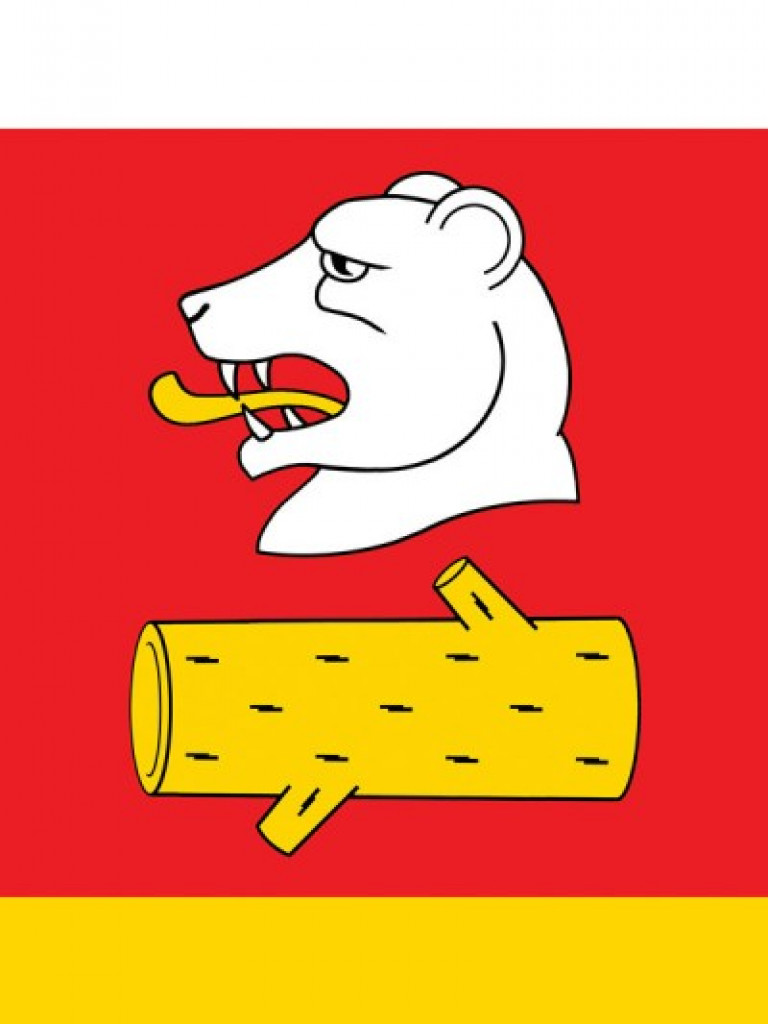 Gmina Radzyń Podlaski ustanowiła herb