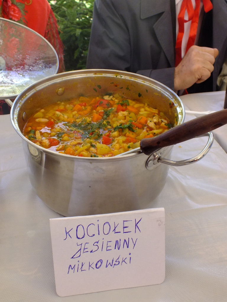 Dokopiny w Olszewnicy