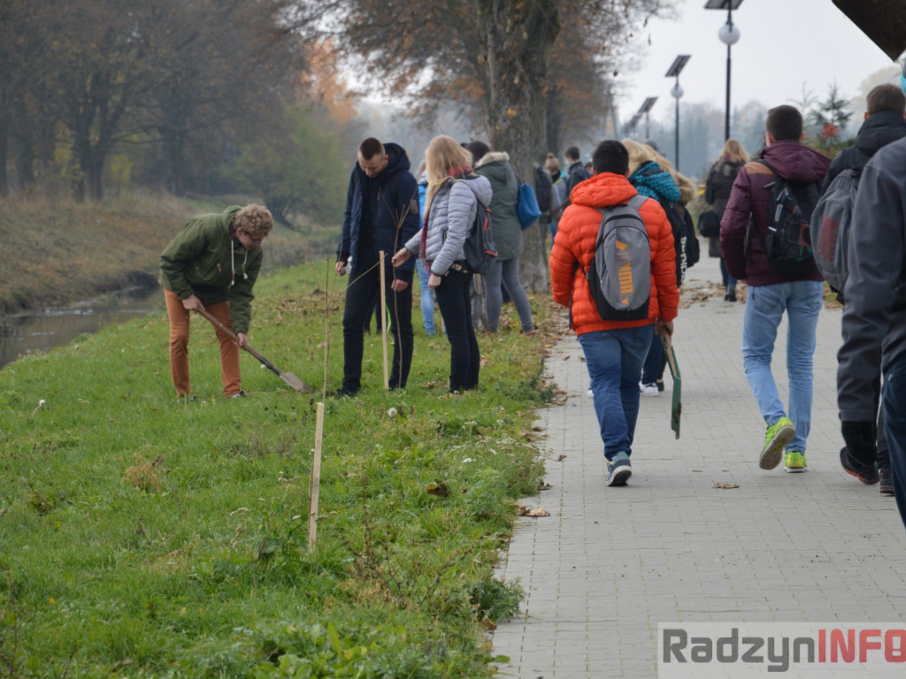 Uczniowie  I LO posadzili drzewka