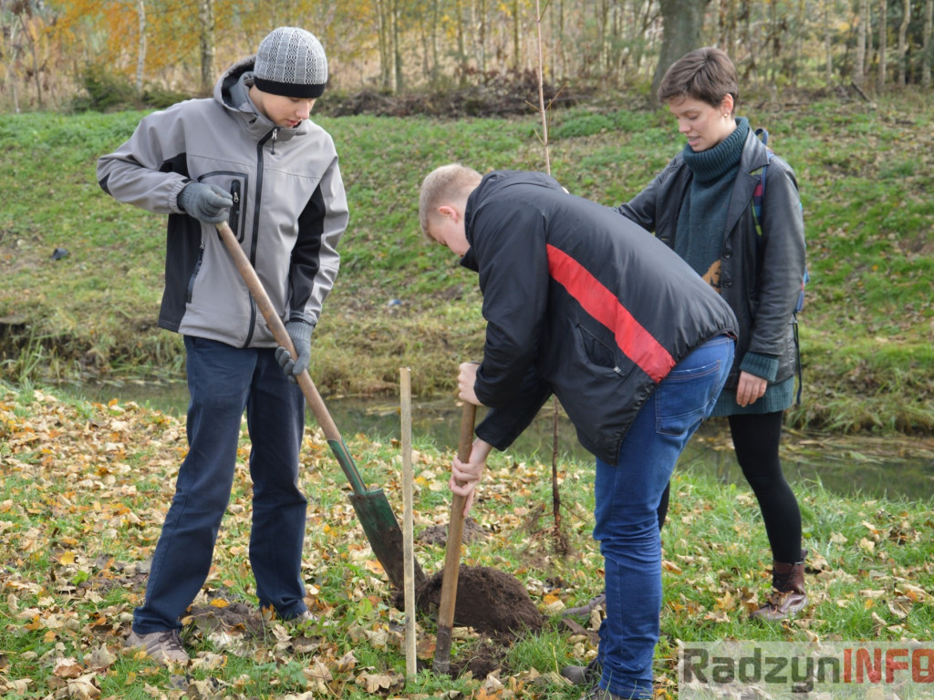 Uczniowie  I LO posadzili drzewka