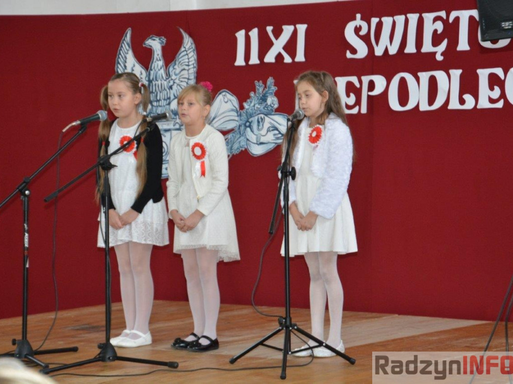 Gminne uroczystości obchodów 11 listopada