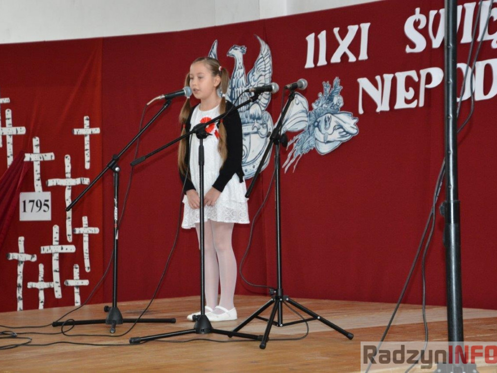 Gminne uroczystości obchodów 11 listopada