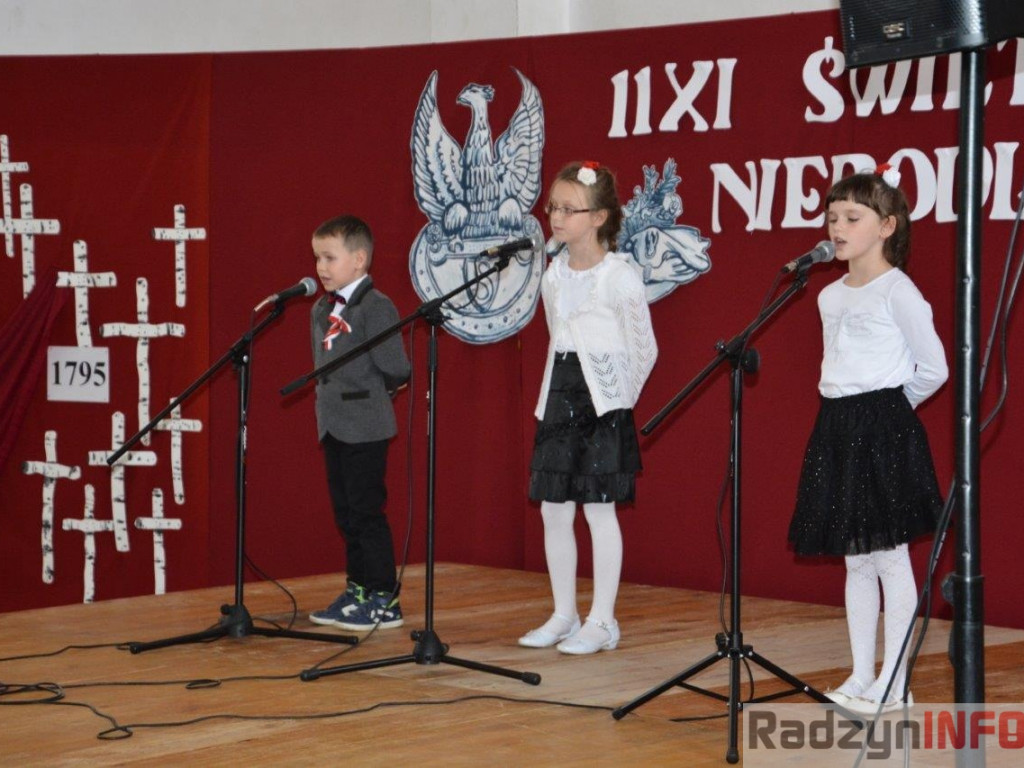 Gminne uroczystości obchodów 11 listopada