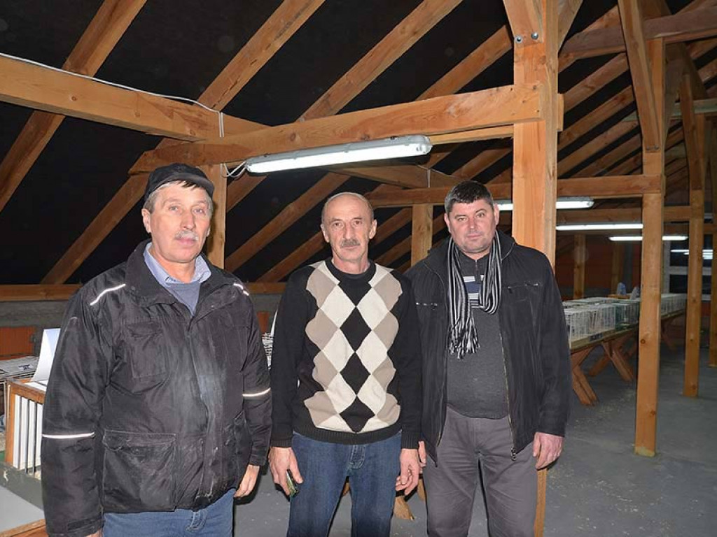 Fotorelacja z Wystawy Gołębi Pocztowych Okręgu Biała Podlaska