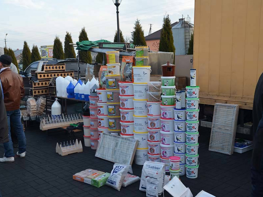 Ostatni dzień jubileuszowej Wystawy Gołębi Pocztowych - fotorelacja