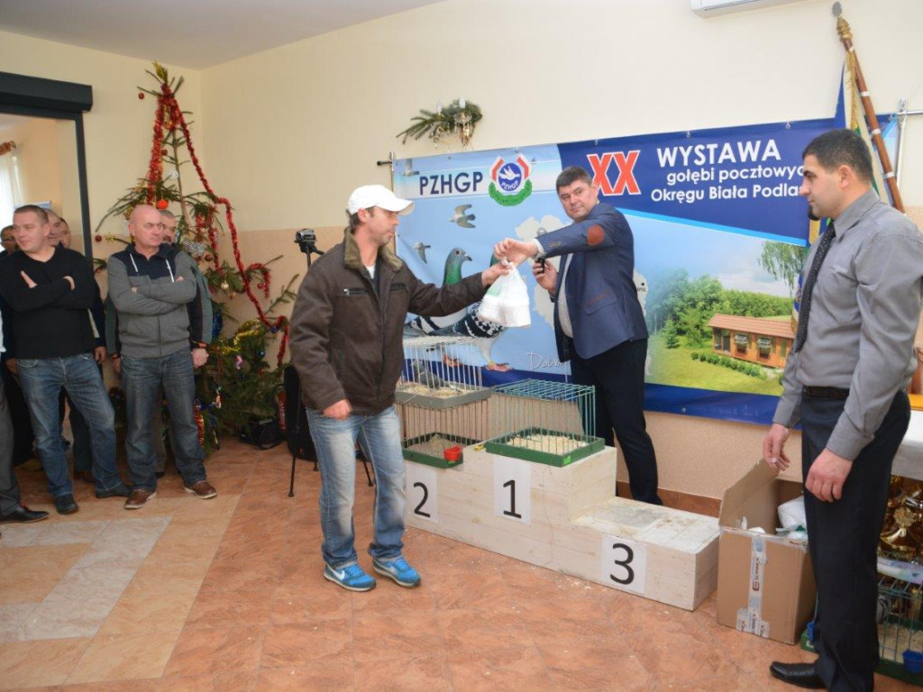 Ostatni dzień jubileuszowej Wystawy Gołębi Pocztowych - fotorelacja