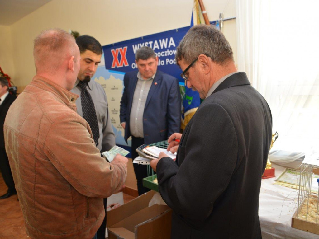 Ostatni dzień jubileuszowej Wystawy Gołębi Pocztowych - fotorelacja