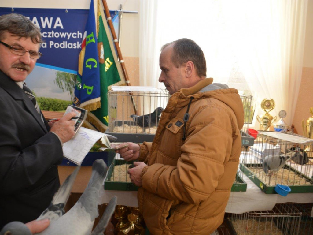 Ostatni dzień jubileuszowej Wystawy Gołębi Pocztowych - fotorelacja