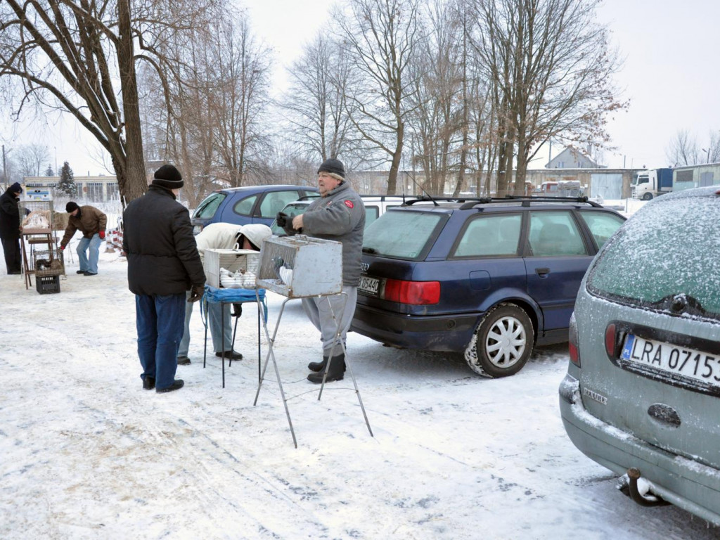 Ruszył handel na targowisku żywych zwierząt