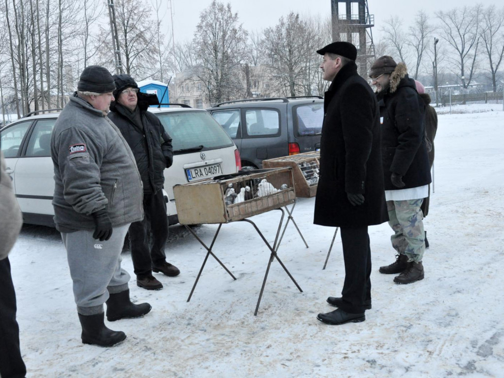 Ruszył handel na targowisku żywych zwierząt