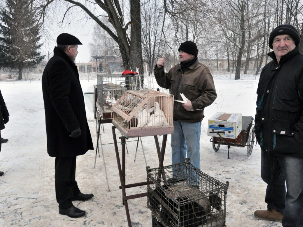 Ruszył handel na targowisku żywych zwierząt