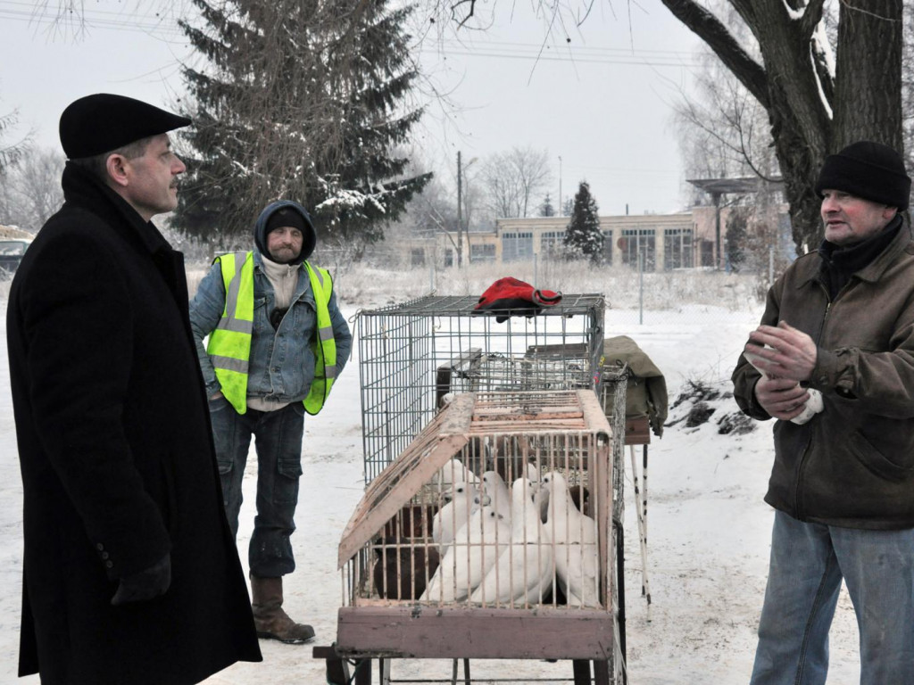 Ruszył handel na targowisku żywych zwierząt