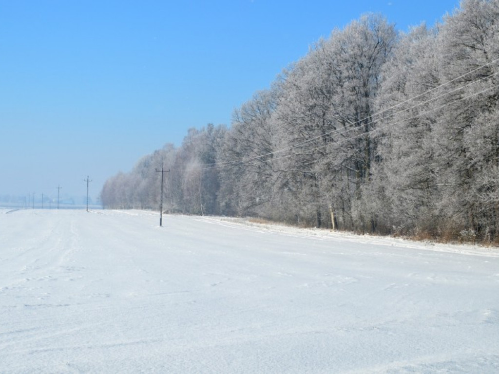 Radzyń i okolice w zimowej szacie